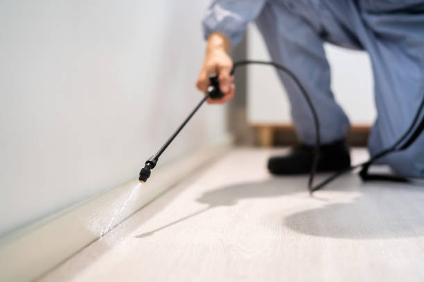 Professional exterminator conducting IPM assessment in McNair