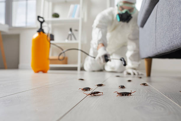 Post-Treatment Bed Bug Interceptor Monitoring in McNair