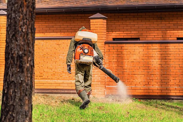 Bed Bug Clearance Verification and Documentation in McNair